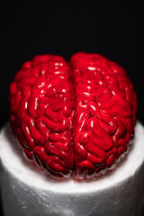 Close up of Human brain Anatomical Model, cake art concept image, brain from sugar paste. Sugar art