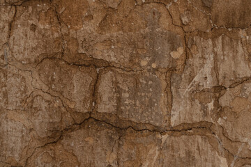 Cracked concrete texture. Close-up background.