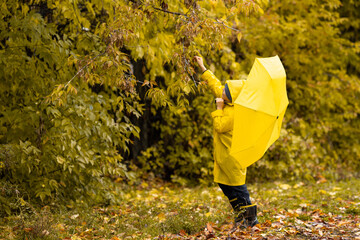 Boy in yellow waterproof cloak and umbrella walk in park or forest in the rain in autumn. Outdoor activity