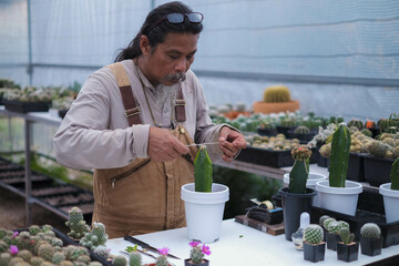 man ownerFarmer startup business  grafting cactus flower plant enjoy smiling at gardening working in the green houseplant happy seeing growth floral