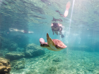 Woman snorkeling with the turtle. Underwater world