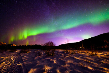 Aurora Borealis in Alta, Northern Norway - obrazy, fototapety, plakaty