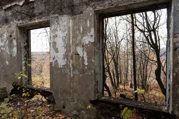 The ruins of the old house are overgrown with vegetation. Remains of old houses destroyed by old age or natural phenomena.