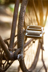 Old bicycle. Close-up of bicycle pedals in soft sunlight background.
