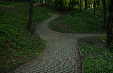 lonely curved trail foot path way in park in dusk morning lighting