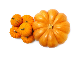 Fresh ripe pumpkins on white background, top view