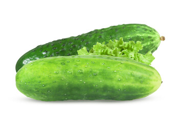 Cucumber on isolated white background