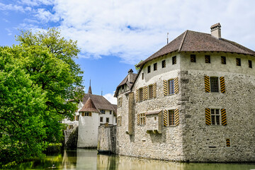 Seengen, Schloss Hallwyl, Wasserschloss, Burg, Hallwilersee, See, Spazierweg, Insel, Aabach, Aargau, Frühling, Sommer, Schweiz