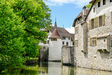 Fototapeta premium Seengen, Schloss Hallwyl, Wasserschloss, Burg, Hallwilersee, See, Spazierweg, Insel, Aabach, Aargau, Frühling, Sommer, Schweiz