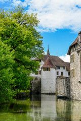 Fototapeta premium Seengen, Schloss Hallwyl, Wasserschloss, Burg, Hallwilersee, See, Spazierweg, Insel, Aabach, Aargau, Frühling, Sommer, Schweiz