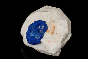 Macro mineral stone Azurite in siltstone against black background