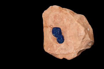 Macro mineral stone Azurite in siltstone against black background