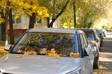 yellow fallen autumn leaves by car - autumn leaf fall