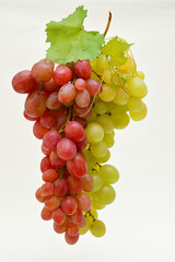Red And White Grapes Bunches Isolated