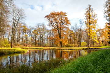 Fototapeta na wymiar Beautiful autumn park with lake and colorful leaves.