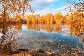 Autumn colorful foliage. Autumn forest reflected in water. Nature background