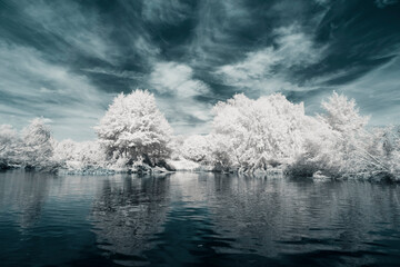 Infrared Photo - a surreal fairy tale landscape on an river in infrared light shining throu the...