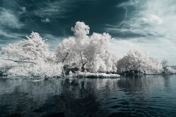 Infrared Photo - a surreal fairy tale landscape on an river in infrared light shining throu the...