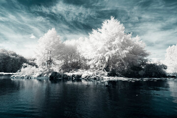 Infrared Photo - a surreal fairy tale landscape on an river in infrared light shining throu the...