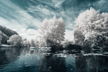 Infrared Photo - a surreal fairy tale landscape on an river in infrared light shining throu the...