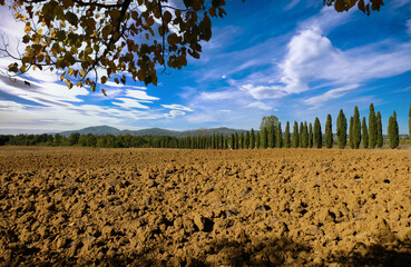 Obraz premium Panoramic view of the plowed yellow field in Tuscany,