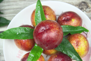 Close-up of fresh plums in a white dish, plum leaves, top view
