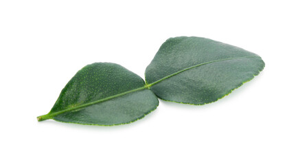bergamot isolated on white background.