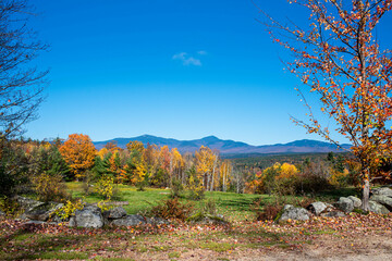 Mountain views of fall foliage 
