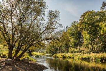 Donau bei Fridingen an der Donau, Donautal, Naturpark Obere Donau, Baden-Württemberg, Deutschland