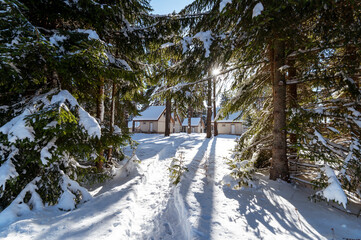 Landscape colourful house village in winter with snow at Bulgaria.