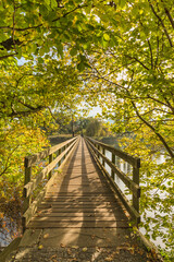 Holzbrücke über den Rhein von der Klosterinsel Werd nach Eschenz, Kanton Thurgau, Schweiz