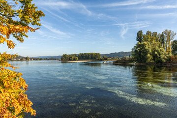 Der Rhein bei Eschenz, Kanton Thurgau, Schweiz
