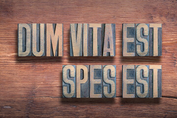 Dum vita est wood