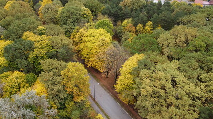 view from the heights of a beautiful autumn park, aerial