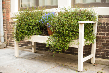 flower pots on the bench 