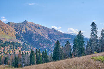 landscape in the mountains