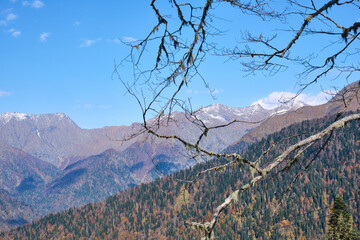 landscape in the mountains