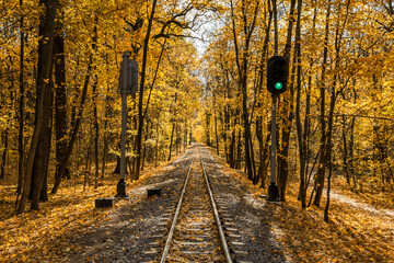 Narrow gauge single track railway and green traffic light in autumn forest in Indian summer, yellow leaves, sunlight and blue sky. Kharkov, Ukraine.