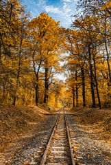 Narrow gauge single track railway in autumn forest in Indian summer, yellow leaves, sunlight and...