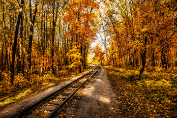 Narrow gauge single track railway in autumn forest in Indian summer, yellow leaves, sunlight and blue sky. Kharkov, Ukraine.