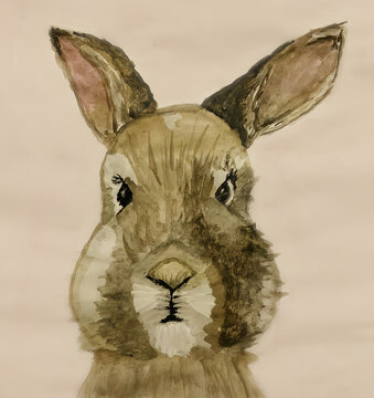Bunny