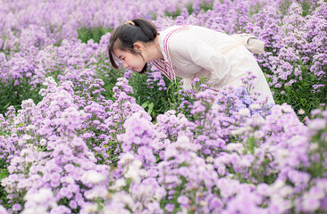 Margaret flower field and woman,Beautiful girl in white dress sitting in Margaret flowers fields.