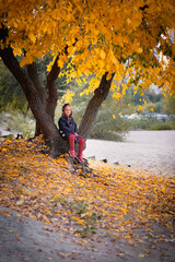 Girl is sitting under tree in park. Child in warm clothes was walking along autumn alley and sat...