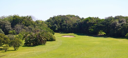 landscape with trees and grass