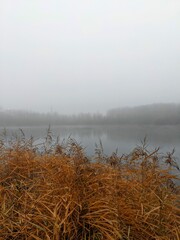 Late autumn. Fog over the water.