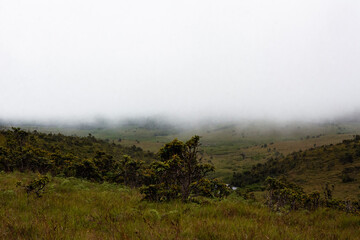 fog in the mountains