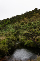 small river in the mountains