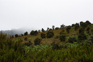 fog in the mountains