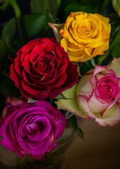 Rosen