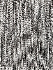 Fototapeta premium Background, paper with abstract lines. Modern wallpaper, wall art. Texture with lines for advertising, goods and postcards, business presentations. Space for text with a texture pattern